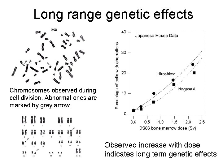 Long range genetic effects Chromosomes observed during cell division. Abnormal ones are marked by