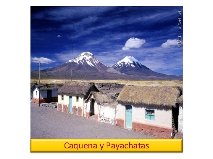 Caquena y Payachatas 