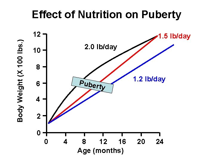 Effect of Nutrition on Puberty Body Weight (X 100 lbs. ) 12 1. 5