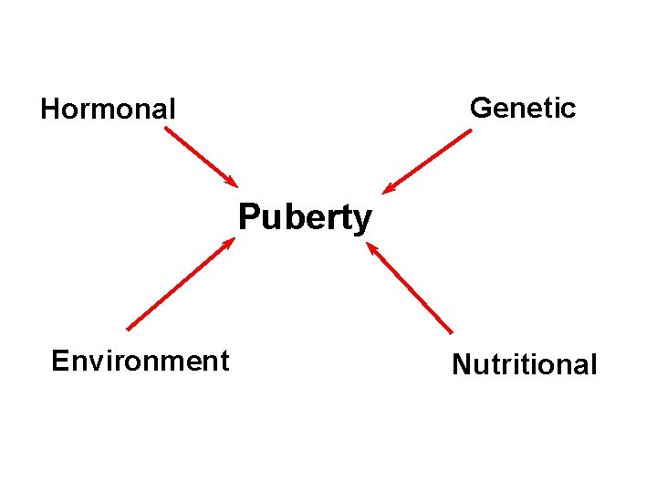 Genetic Hormonal Puberty Environment Nutritional 