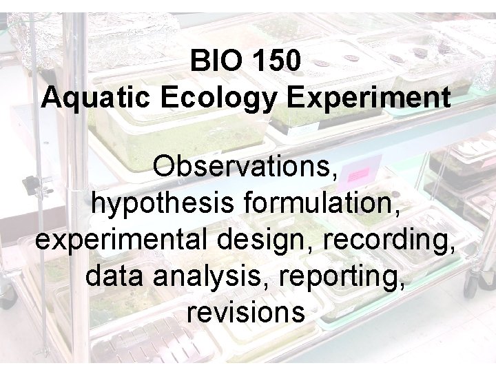 BIO 150 Aquatic Ecology Experiment Observations, hypothesis formulation, experimental design, recording, data analysis, reporting,