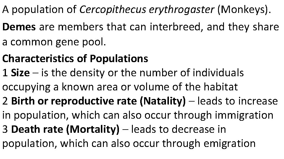 A population of Cercopithecus erythrogaster (Monkeys). Demes are members that can interbreed, and they