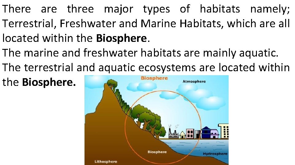 There are three major types of habitats namely; Terrestrial, Freshwater and Marine Habitats, which