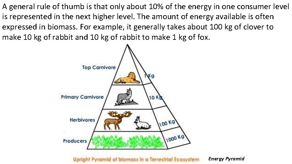 A general rule of thumb is that only about 10% of the energy in