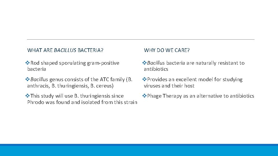 WHAT ARE BACILLUS BACTERIA? WHY DO WE CARE? v. Rod shaped sporulating gram-positive bacteria