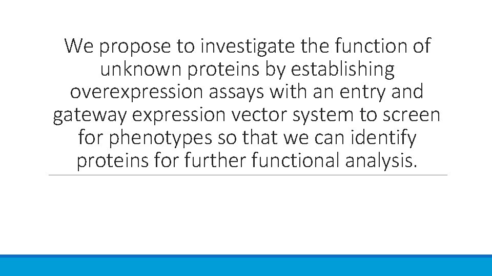 We propose to investigate the function of unknown proteins by establishing overexpression assays with