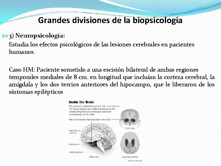 Grandes divisiones de la biopsicología 3) Neuropsicología: Estudia los efectos psicológicos de las lesiones