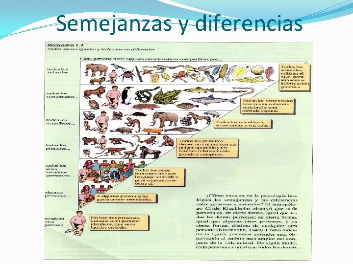 Semejanzas y diferencias 