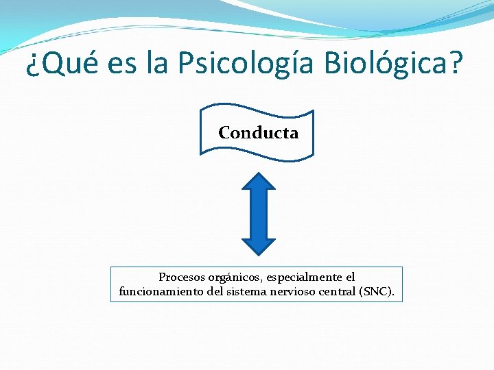 ¿Qué es la Psicología Biológica? Conducta Procesos orgánicos, especialmente el funcionamiento del sistema nervioso