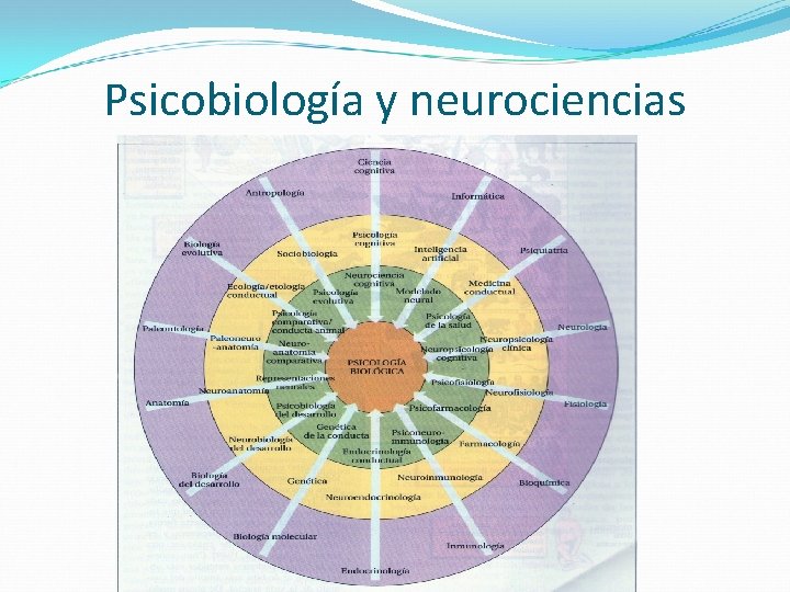Psicobiología y neurociencias 