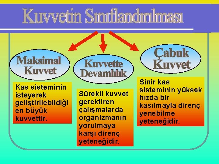 Kas sisteminin isteyerek geliştirilebildiği en büyük kuvvettir. Sürekli kuvvet gerektiren çalışmalarda organizmanın yorulmaya karşı