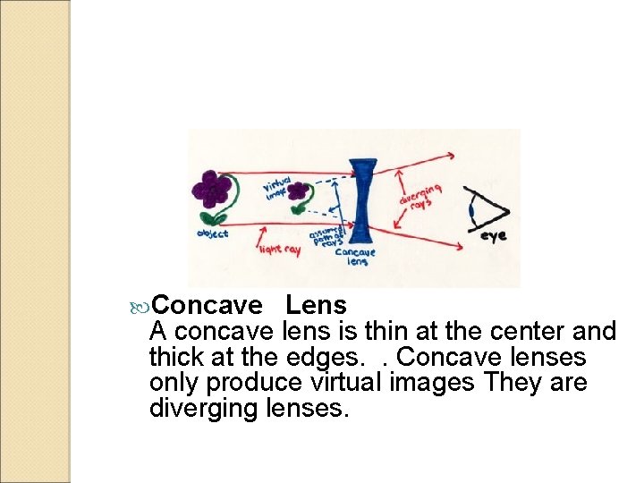  Concave Lens A concave lens is thin at the center and thick at