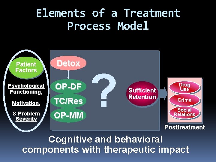 Elements of a Treatment Process Model Patient Factors Detox Psychological Functioning, OP-DF Motivation, TC/Res