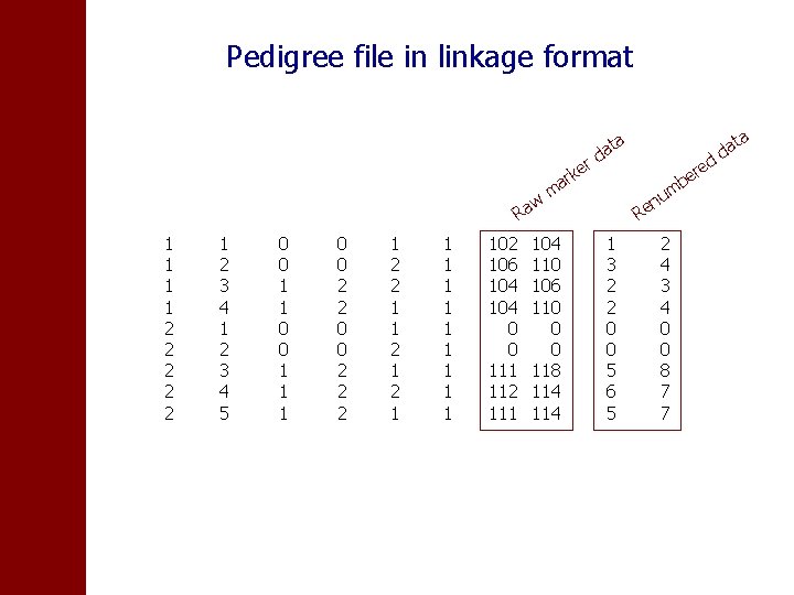 Pedigree file in linkage format a er R 1 1 2 2 2 1