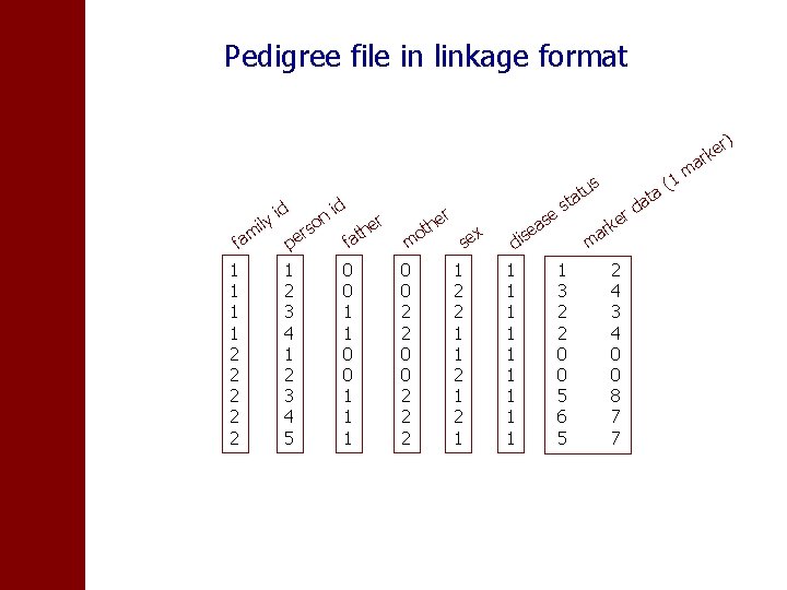 Pedigree file in linkage format ) er rk 1 s d m fa 1