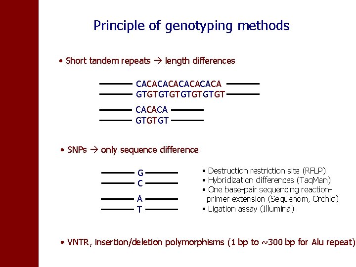 Principle of genotyping methods • Short tandem repeats length differences CACACACA GTGTGTGT CACACA GTGTGT