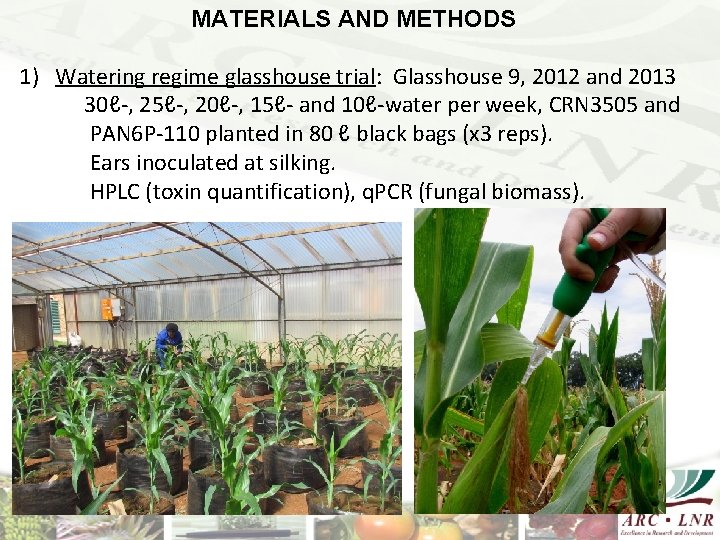 MATERIALS AND METHODS 1) Watering regime glasshouse trial: Glasshouse 9, 2012 and 2013 30ℓ-,