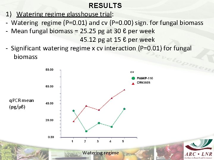 RESULTS 1) Watering regime glasshouse trial: - Watering regime (P=0. 01) and cv (P=0.