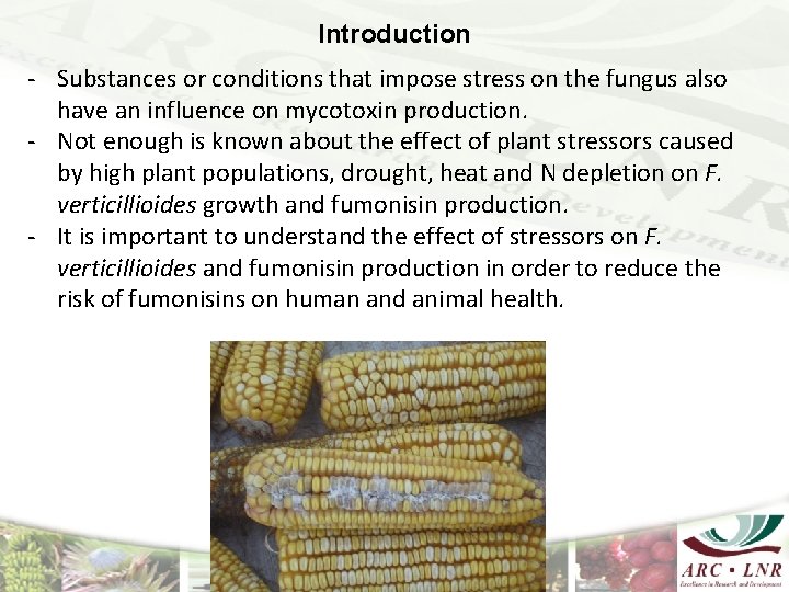 Introduction - Substances or conditions that impose stress on the fungus also have an