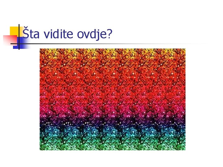 Šta vidite ovdje? 