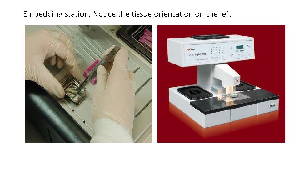 Embedding station. Notice the tissue orientation on the left 