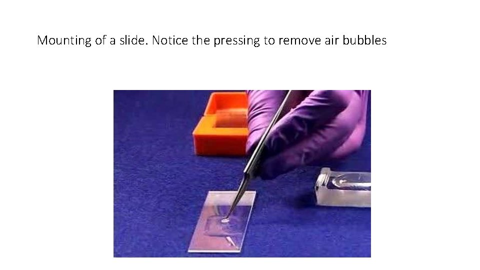 Mounting of a slide. Notice the pressing to remove air bubbles 