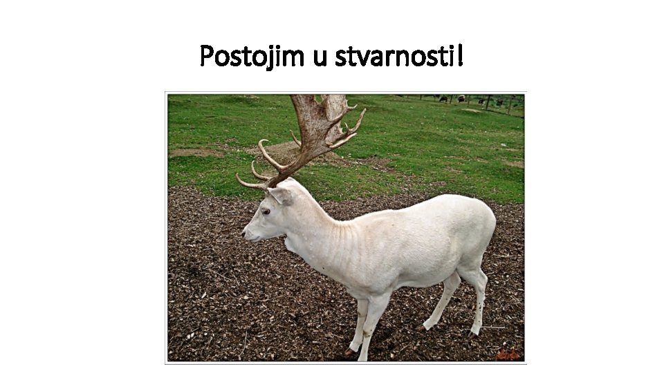 Postojim u stvarnosti! 