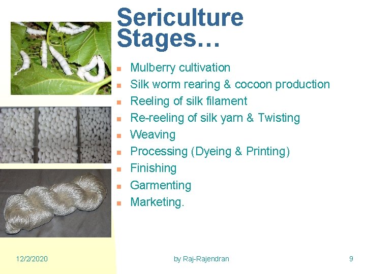 Sericulture Stages… n n n n n 12/2/2020 Mulberry cultivation Silk worm rearing &