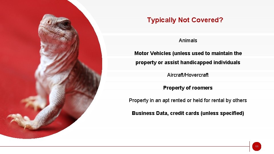 Typically Not Covered? Animals Motor Vehicles (unless used to maintain the property or assist