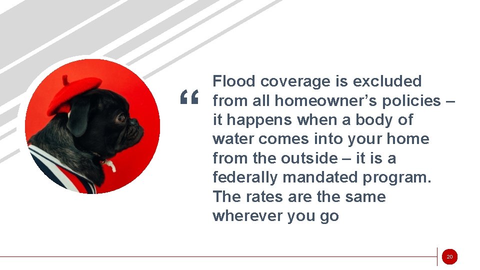 “ Flood coverage is excluded from all homeowner’s policies – it happens when a