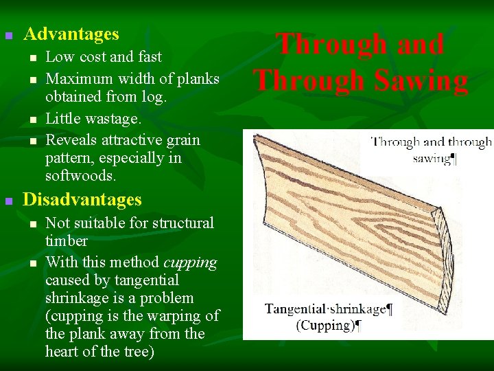 n Advantages n n n Low cost and fast Maximum width of planks obtained
