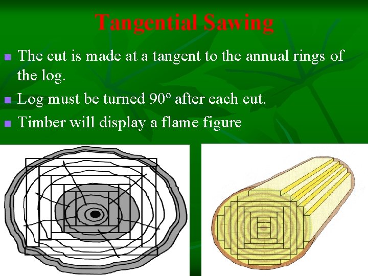 Tangential Sawing n n n The cut is made at a tangent to the