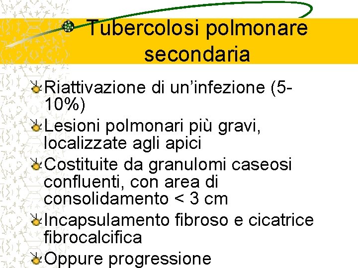 Tubercolosi polmonare secondaria Riattivazione di un’infezione (510%) Lesioni polmonari più gravi, localizzate agli apici