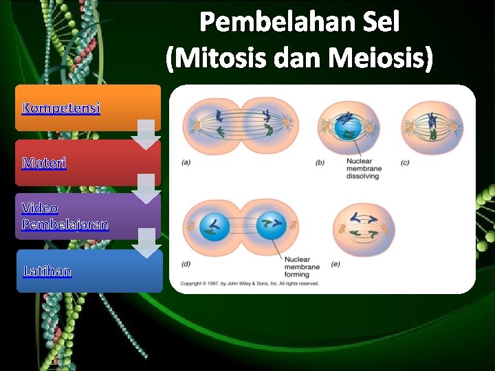 Pembelahan Sel (Mitosis dan Meiosis) Kompetensi Materi Video Pembelajaran Latihan 