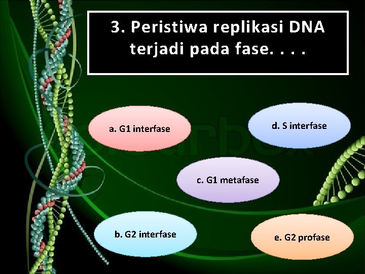 3. Peristiwa replikasi DNA terjadi pada fase. . d. S interfase a. G 1