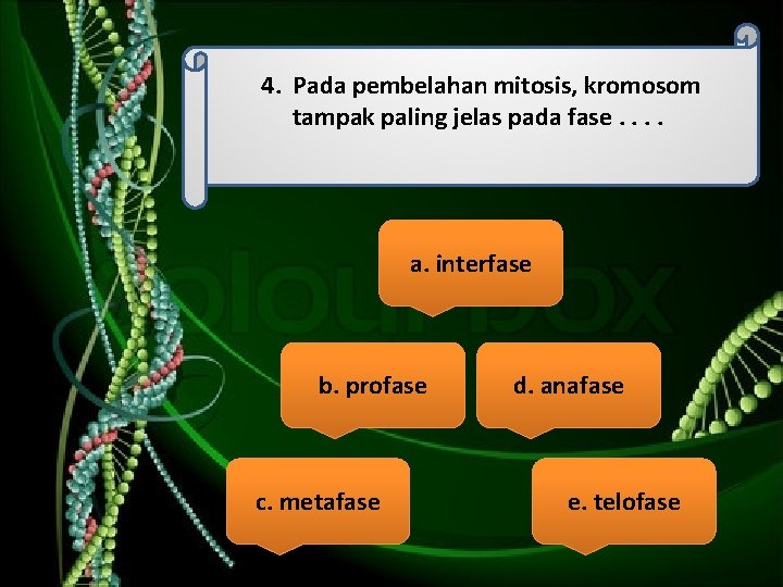  4. Pada pembelahan mitosis, kromosom tampak paling jelas pada fase. . a. interfase