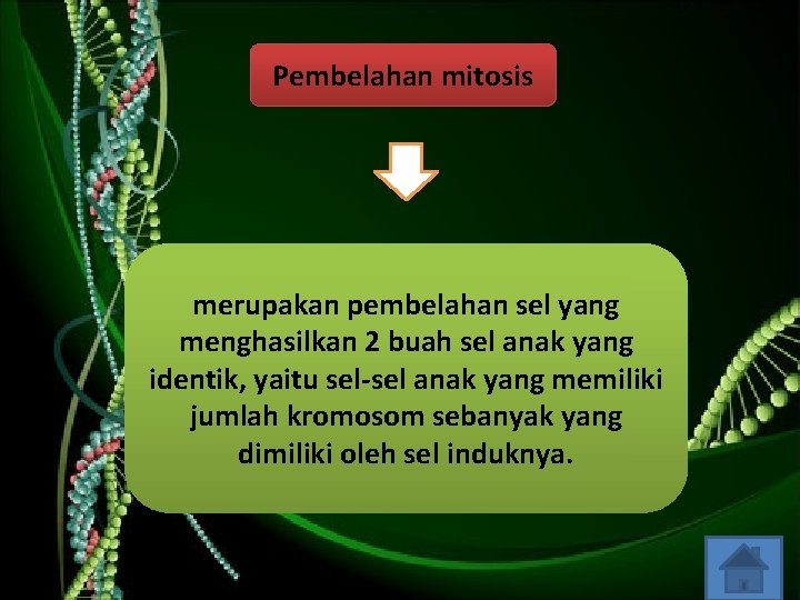 Pembelahan mitosis merupakan pembelahan sel yang menghasilkan 2 buah sel anak yang identik, yaitu