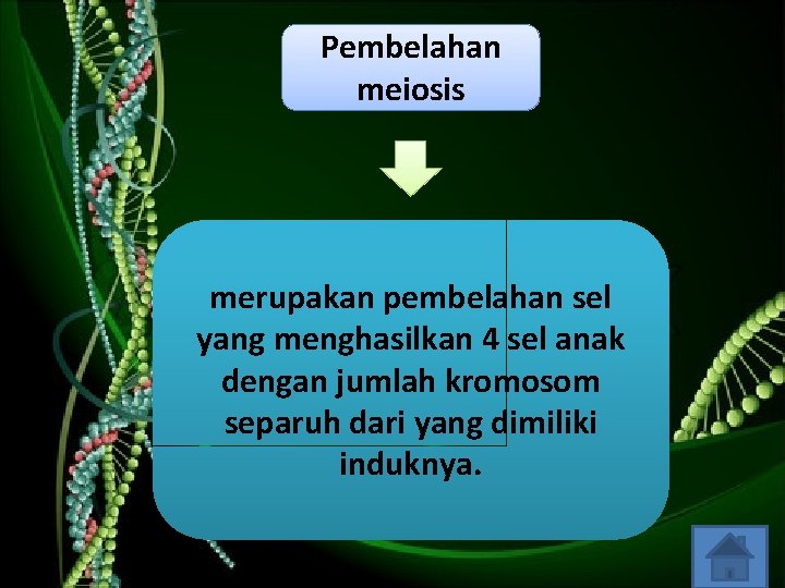 Pembelahan meiosis merupakan pembelahan sel yang menghasilkan 4 sel anak dengan jumlah kromosom separuh