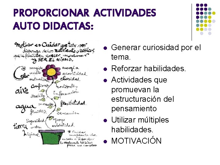 PROPORCIONAR ACTIVIDADES AUTO DIDACTAS: l l l Generar curiosidad por el tema. Reforzar habilidades.