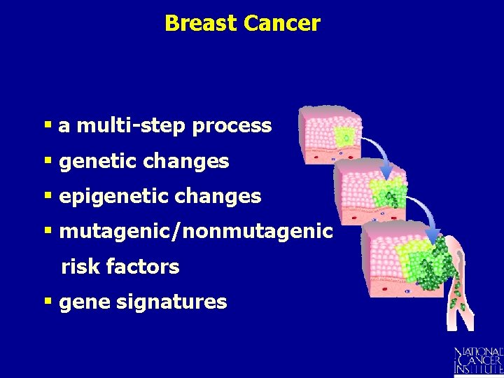 Breast Cancer § a multi-step process § genetic changes § epigenetic changes § mutagenic/nonmutagenic