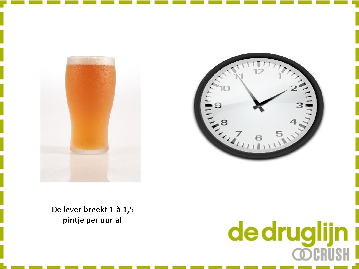 De lever breekt 1 à 1, 5 pintje per uur af 