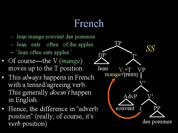 French – Jean mange souvent des pommes. – Jean eats often of. the apples