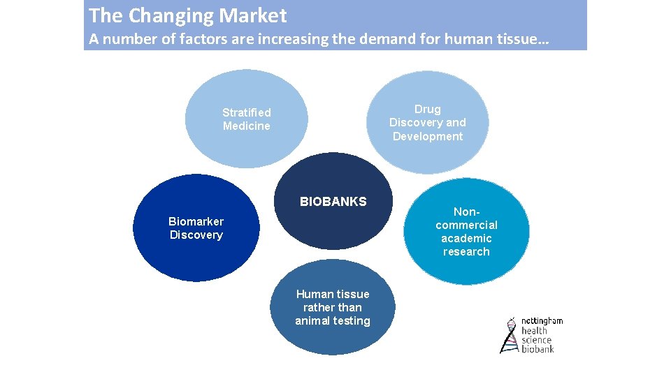 The Changing Market A number of factors are increasing the demand for human tissue…