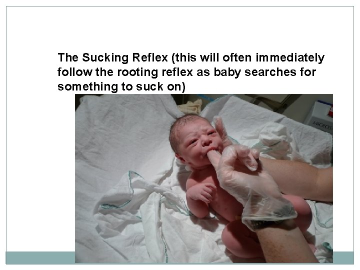 The Sucking Reflex (this will often immediately follow the rooting reflex as baby searches