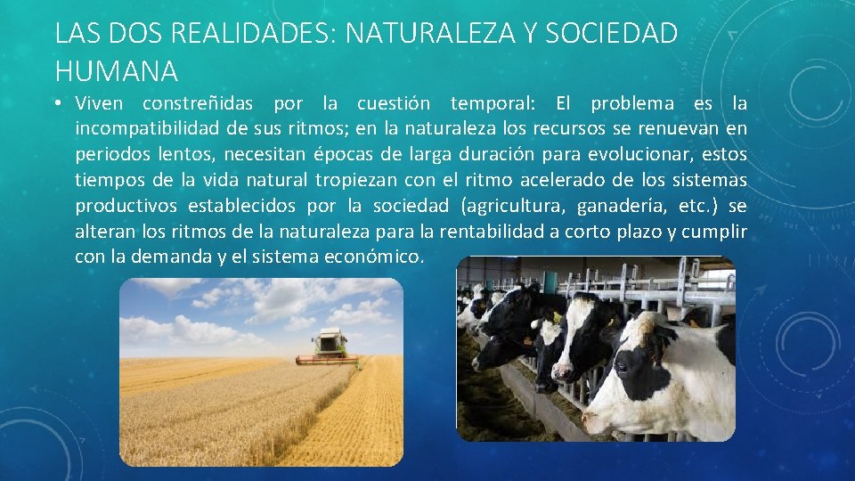 LAS DOS REALIDADES: NATURALEZA Y SOCIEDAD HUMANA • Viven constreñidas por la cuestión temporal: