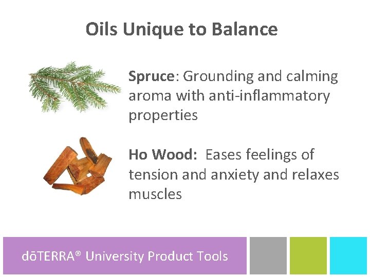 Oils Unique to Balance Spruce: Grounding and calming aroma with anti-inflammatory properties Ho Wood: