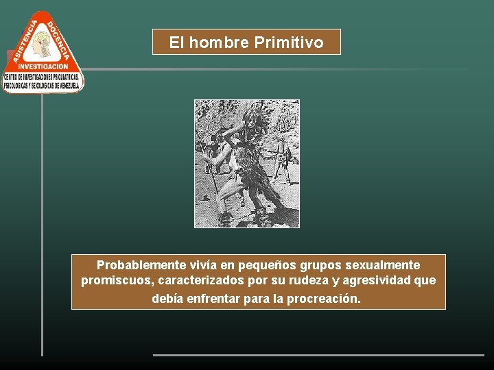 El hombre Primitivo Probablemente vivía en pequeños grupos sexualmente promiscuos, caracterizados por su rudeza