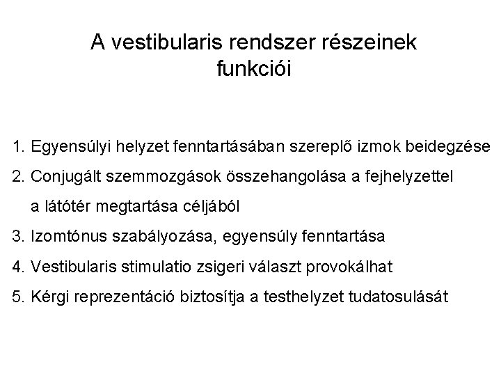 A vestibularis rendszer részeinek funkciói 1. Egyensúlyi helyzet fenntartásában szereplő izmok beidegzése 2. Conjugált A vestibularis rendszer részeinek funkciói 1. Egyensúlyi helyzet fenntartásában szereplő izmok beidegzése 2. Conjugált