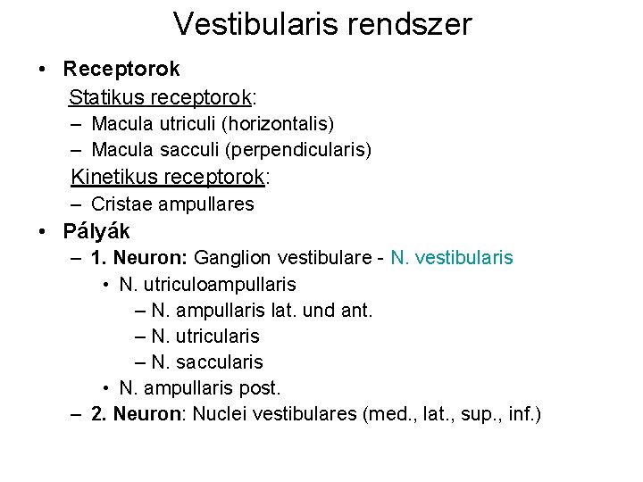 Vestibularis rendszer • Receptorok Statikus receptorok: – Macula utriculi (horizontalis) – Macula sacculi (perpendicularis)