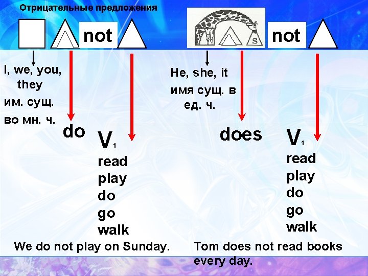 Отрицательные предложения not I, we, you, they им. сущ. во мн. ч. not He,